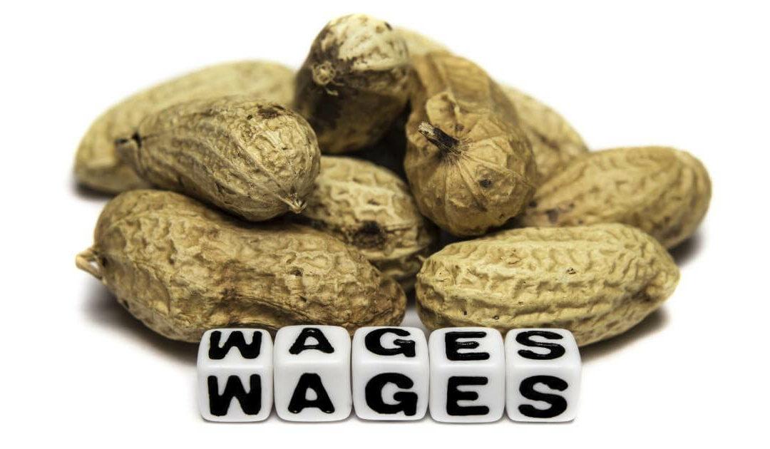 Low Wages Equal Low Quality